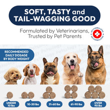 Load image into Gallery viewer, PETSOLOGY Digestive Enzymes &amp; Prebiotics Supplement for Dogs 170 Chews For Pet With Love
