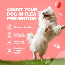 Load image into Gallery viewer, Dog Flea and Tick Treatment Chews   Flea and Tick Prevention for Dogs   Flea &amp;
