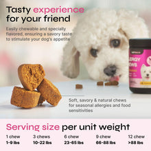 Load image into Gallery viewer, VETRICA Dog Itching Skin &amp; Allergy Relief Immune Support Supplement 130 Chews

