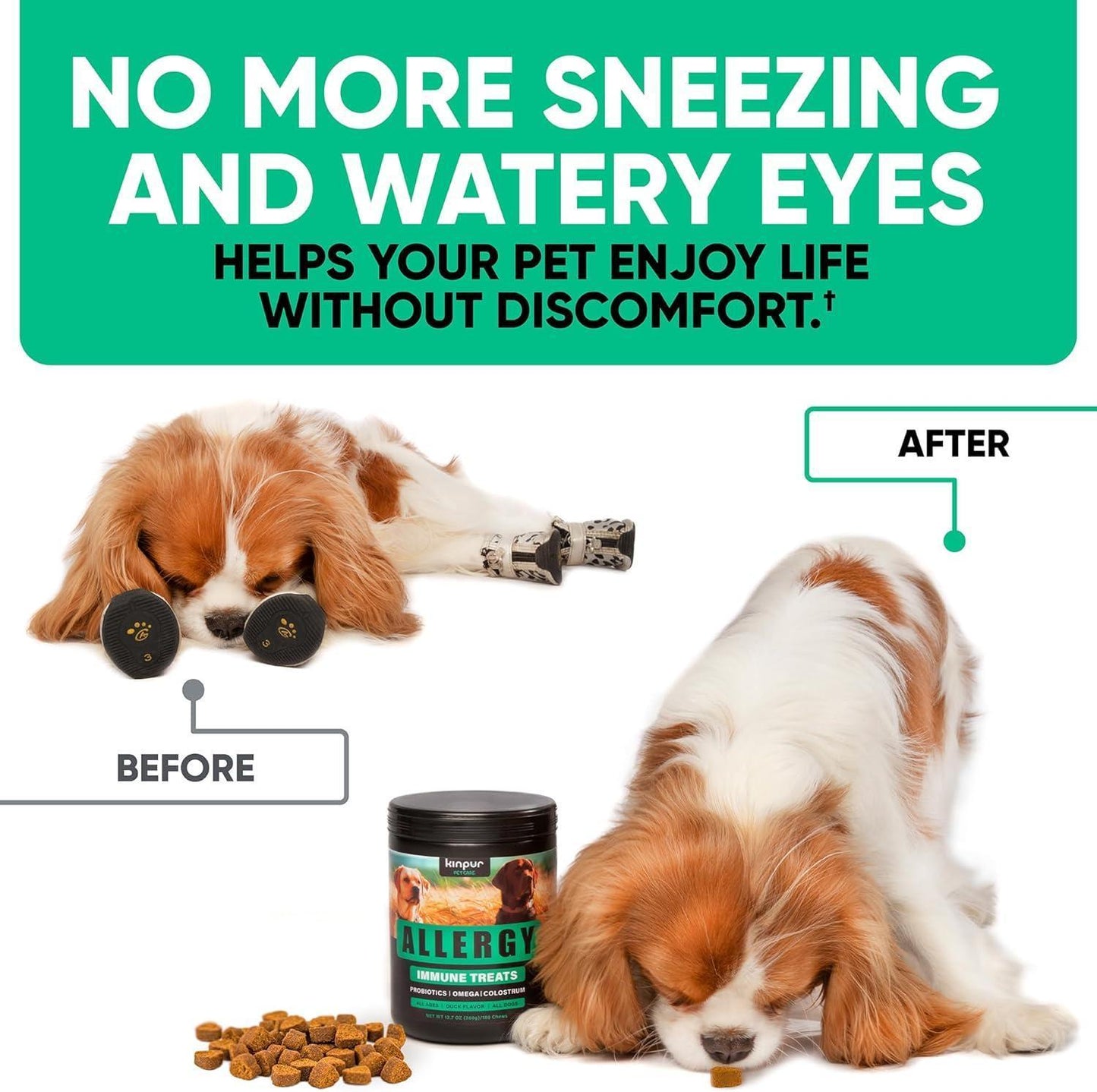 Kinpur Pet Care Natural Dog Allergy Chews  Allergy Relief  180 Anti Itch Immune Treats For Pet With Love