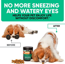 Load image into Gallery viewer, Kinpur Pet Care Natural Dog Allergy Chews  Allergy Relief  180 Anti Itch Immune Treats
