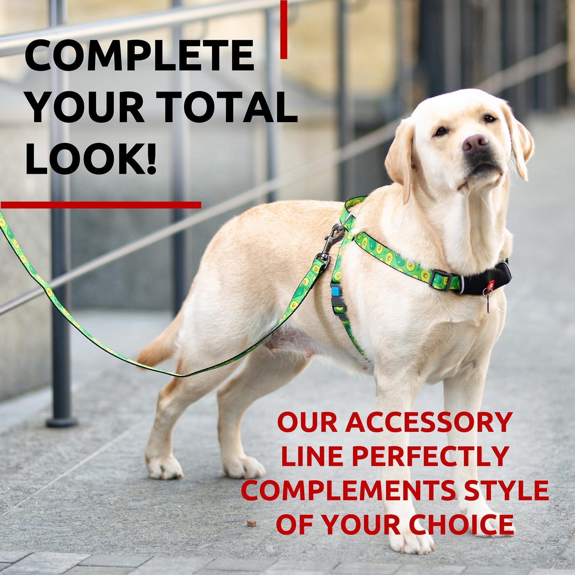 WAUDOG Nylon Dog Leash for Small Dogs and Medium Dogs 4 Ft   Strong Dog Leash For Pet With Love