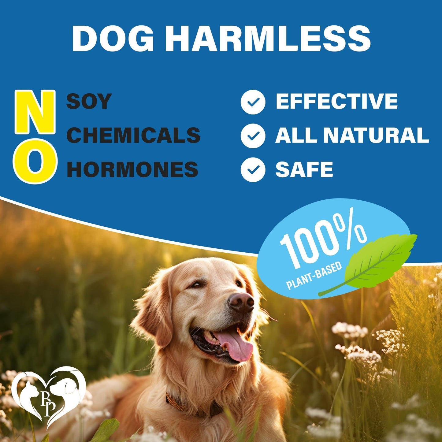 Beloved Pets Revolution Flea and Tick Prevention Oral Treatment Chewable Pills for Dogs.  Pest Control & Natural Defense.  Approximaate;lly 140 Chewable Small Tablets. Made in USA (Beef Flavor) For Pet With Love