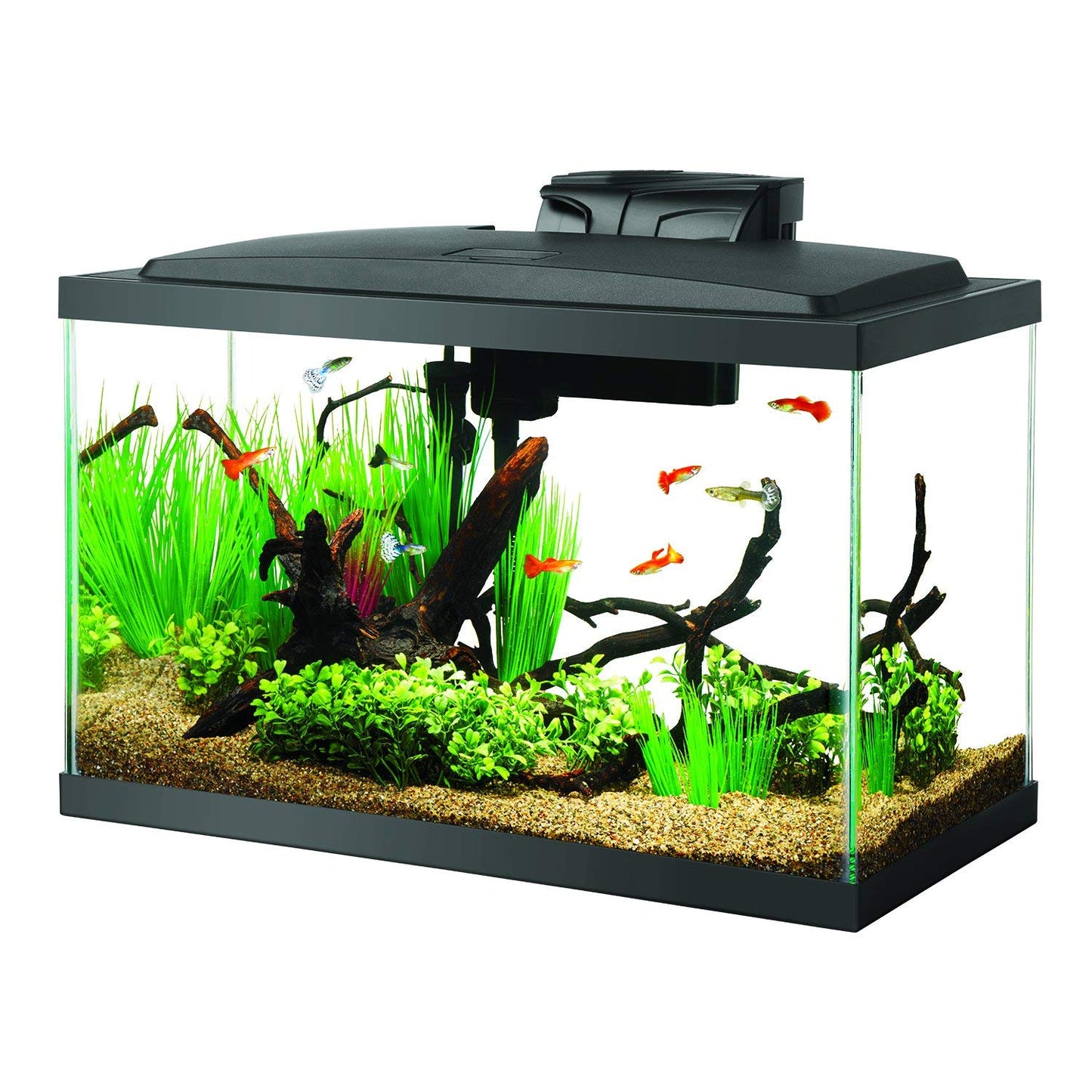 Aqueon 10 Gallon LED Aquarium Kit Black 20.2 x 10.5 x 13.3 For Pet With Love