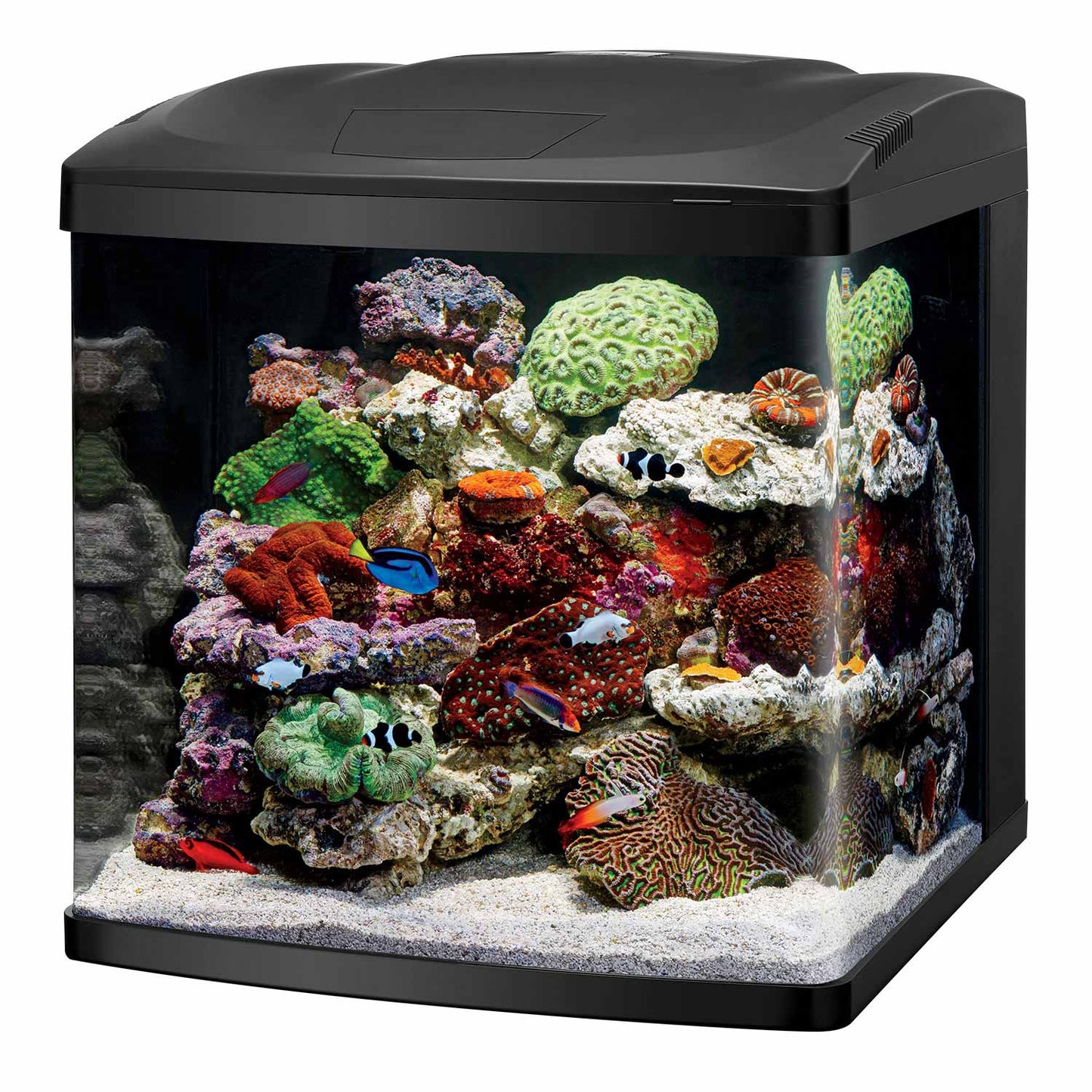 Coralife LED BioCube 32 Aquarium Kit 20.25 x 21.875 x 21.5 For Pet With Love