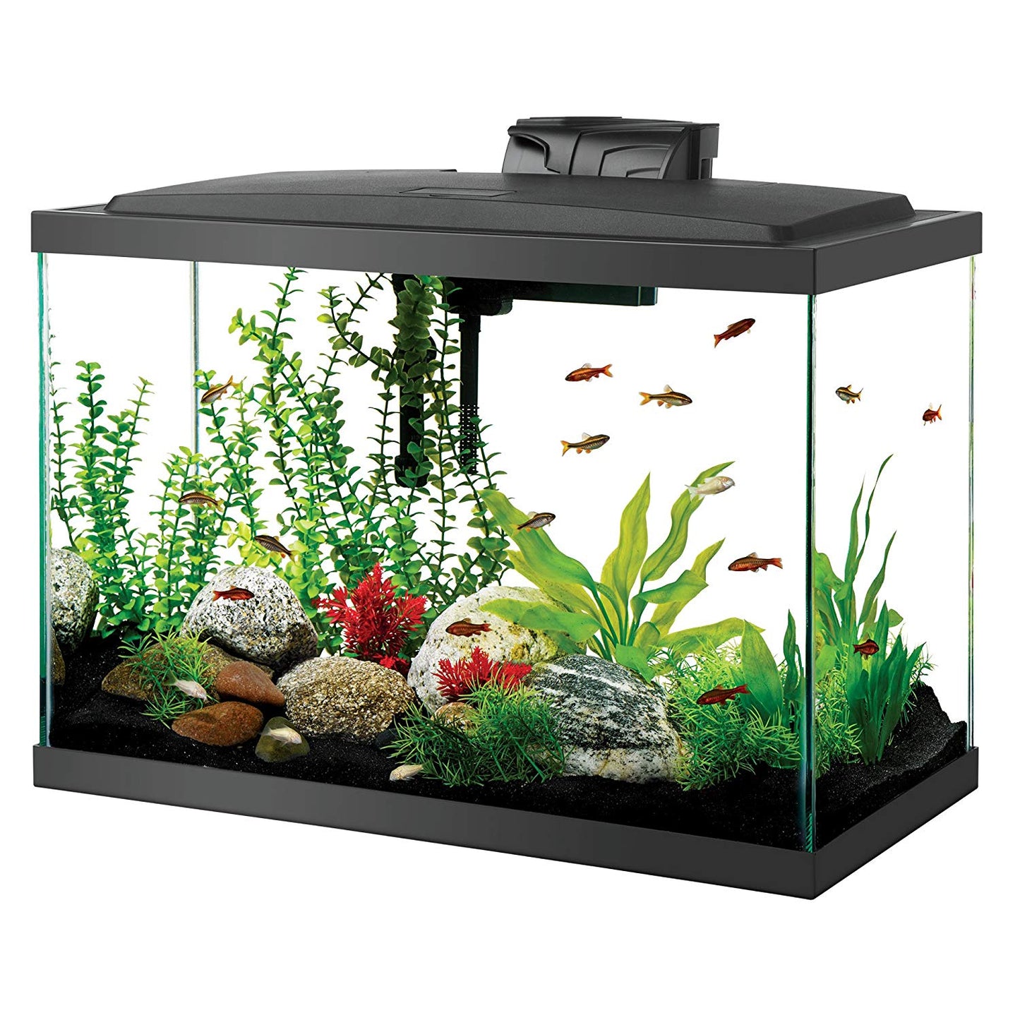 Aqueon 20 Gallon LED Aquarium Kit Black 24.2 x 12.5 x 19.5 For Pet With Love