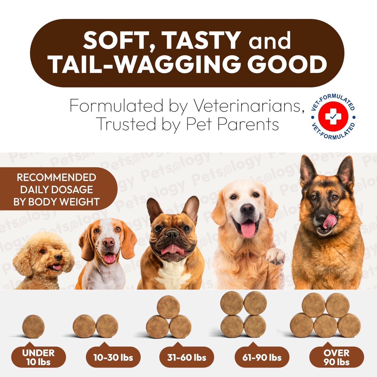 PETSOLOGY Mushroom Multivitamin Supplement for Dogs with Glucosamine, Omega 3 and Probiotics. 170 Chews For Pet With Love