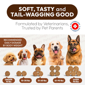PETSOLOGY Mushroom Multivitamin Supplement for Dogs with Glucosamine, Omega 3 and Probiotics. 170 Chews