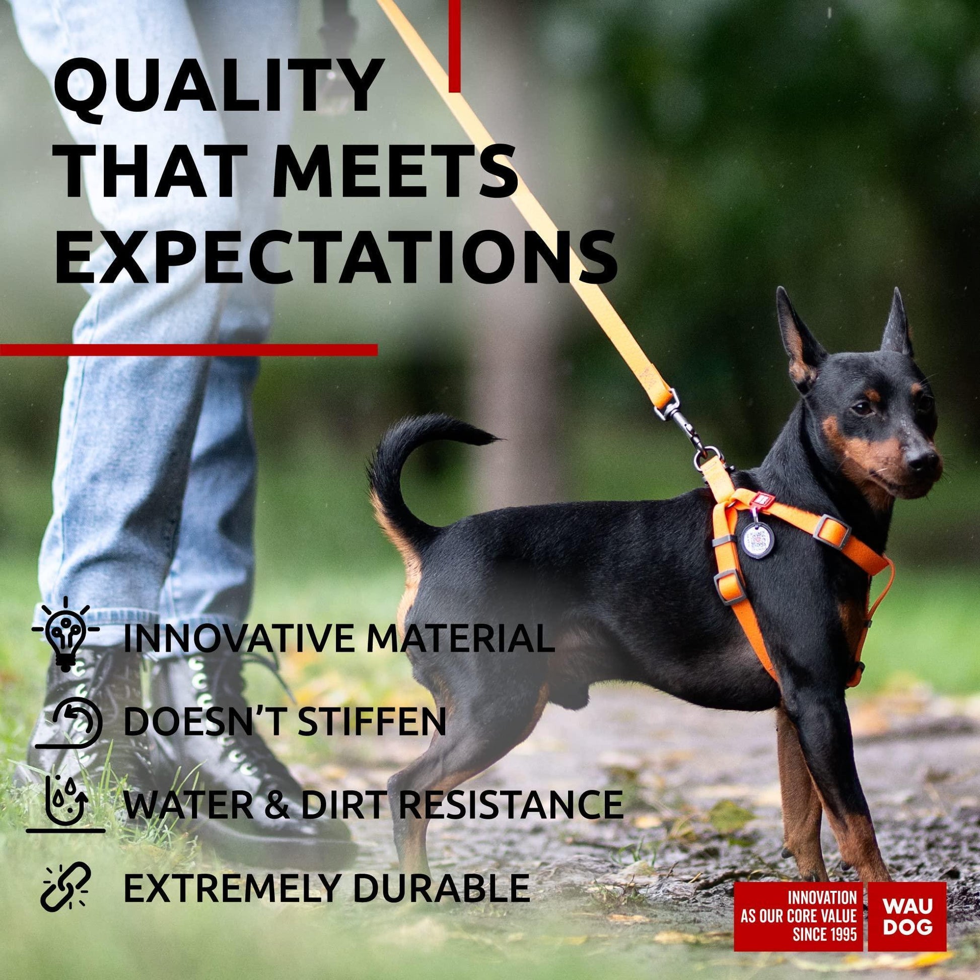 Waterproof Dog Leash 4 Ft   6 Ft   Anti Slip Dog Leash for Large Dogs Small and For Pet With Love