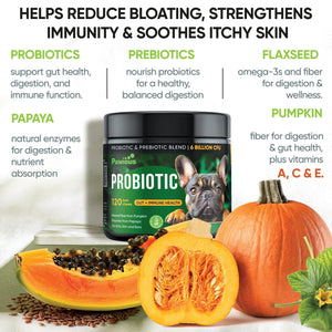 Probiotics Treats for Dogs - Digestive Enzymes - Gut Flora Digestive Health Immune Support