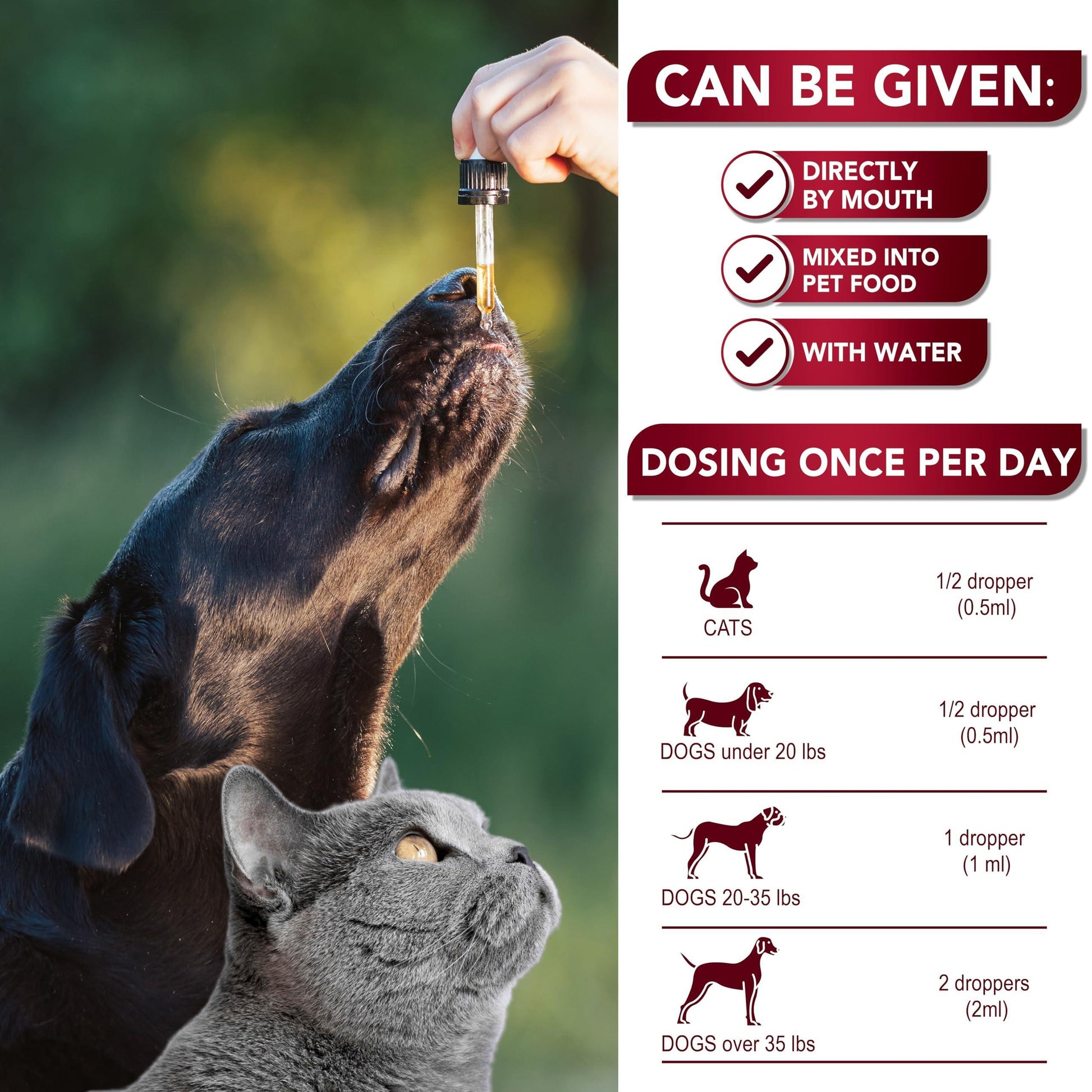 Vet Promise Cats & Dogs Natural Broad Spectrum Treatment & Liquid Herbal Medicine For Pet With Love