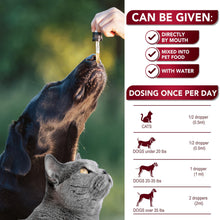 Load image into Gallery viewer, Cats &amp; Dogs Natural Broad Spectrum Treatment and Liquid Herbal Solution
