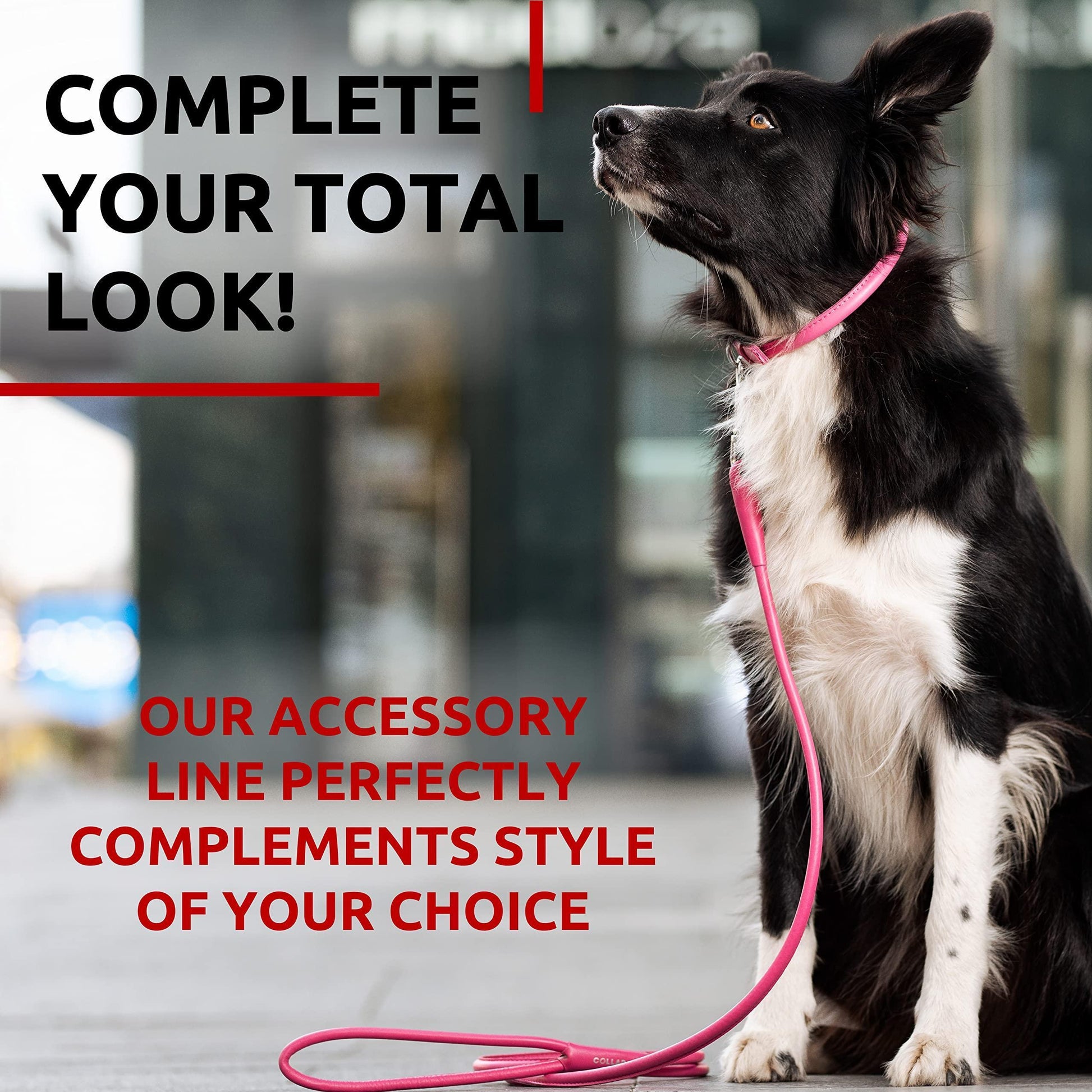 Rolled Leather Dog Leash 4Ft * 0.4 in for Small Medium and Large Dogs   Heavy For Pet With Love