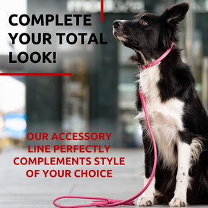 Rolled Leather Dog Leash 4Ft * 0.4 in for Small Medium and Large Dogs   Heavy