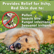 Load image into Gallery viewer, Arava Natural Medicated Anti Yeast Anti Itch Dog Shampoo 400ml (13.5 fl oz)
