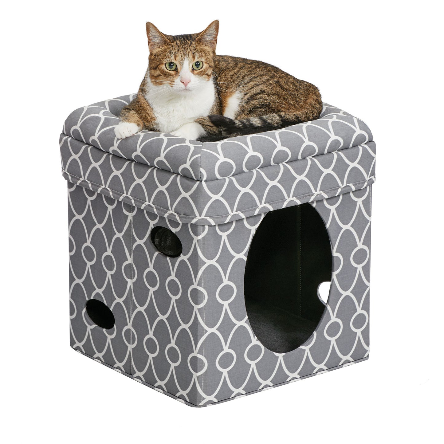 Midwest Curious Cat Cube Gray 15.13 x 15.13 x 16.50 For Pet With Love