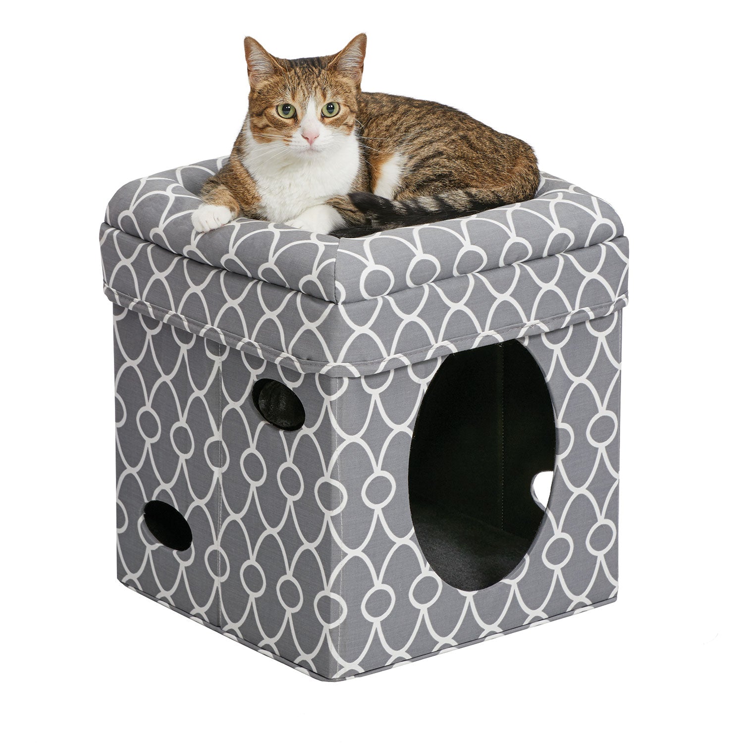 Midwest Curious Cat Cube Gray 15.13 x 15.13 x 16.50 For Pet With Love