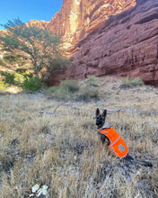 Load image into Gallery viewer, SafetyPUP XD Hi-Visibility Fluorescent Blaze Orange Dog Vest (Large)
