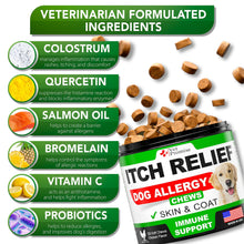 Load image into Gallery viewer, Vet Promise Allergy Itch Relief Immune Support Skin &amp; Coat Health Supplement for Dogs. Made in USA.  120 Treats
