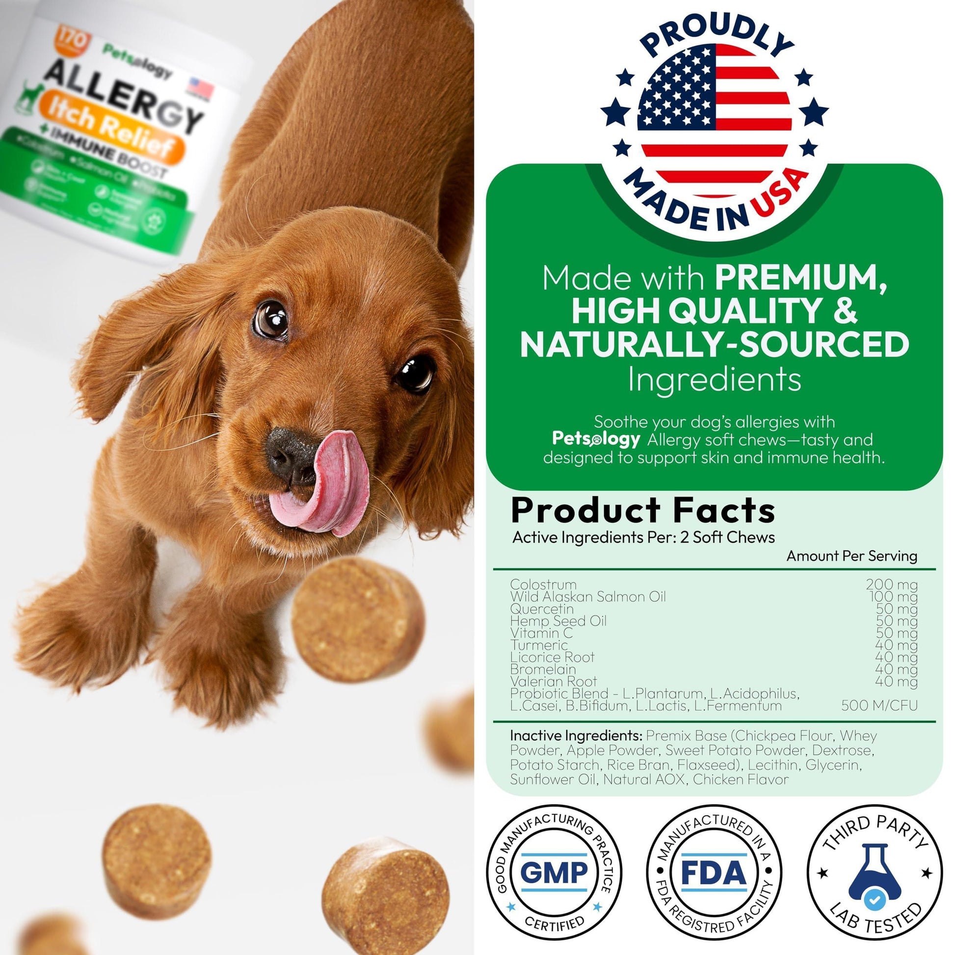 PETSOLOGY Dog Allergy Itching Relief Chews with Omega 3 Fish Oil Probiotics 170 Chews For Pet With Love