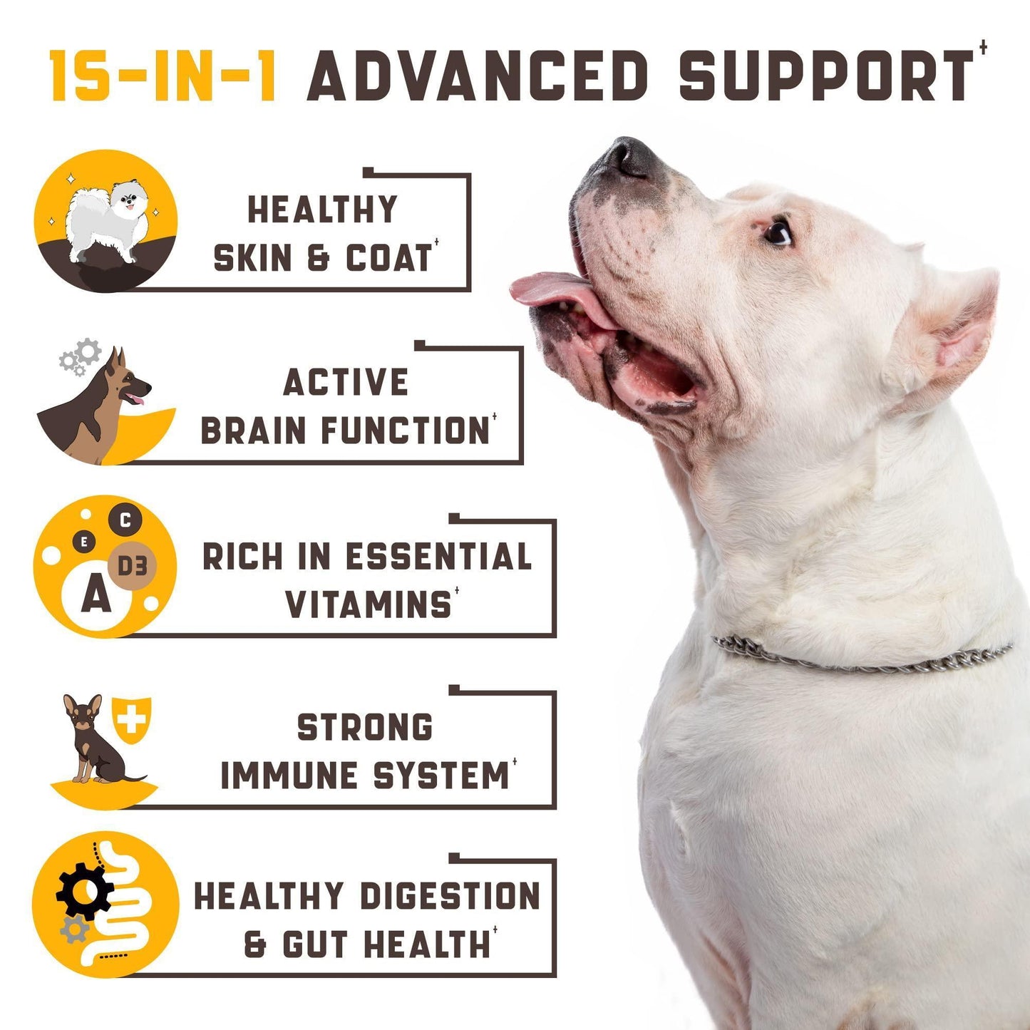 Kinpur Pet Care Dog Multivitamin Supplements Immunity, Digestion, Joint and Heart Health Support 180 Chews For Pet With Love