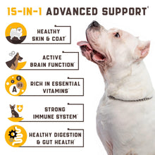 Load image into Gallery viewer, Kinpur Pet Care Dog Multivitamin Supplements Immunity, Digestion, Joint and Heart Health Support 180 Chews
