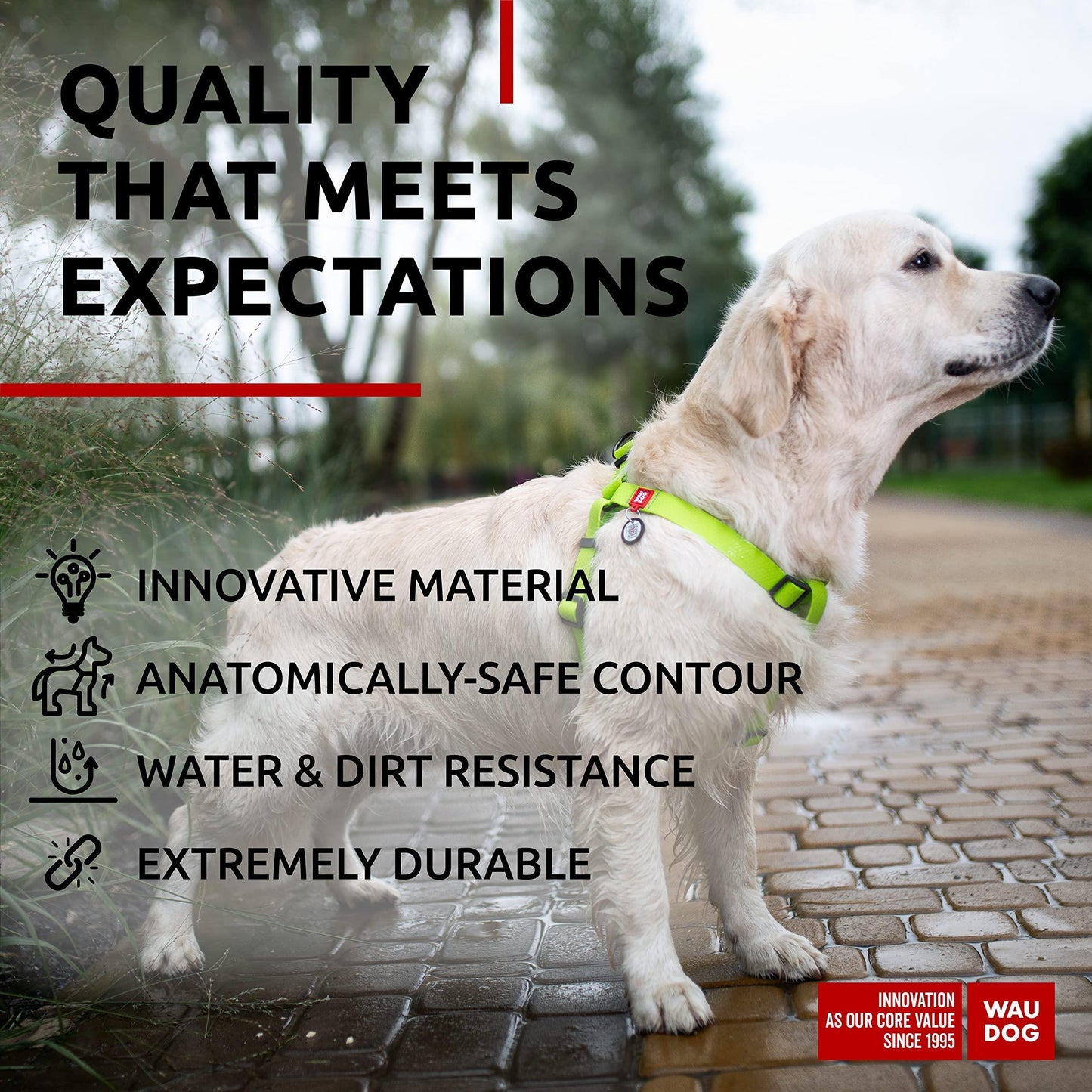 Waterproof Dog Harness   Adjustable Dog Harness for Large Dogs Small and Medium For Pet With Love