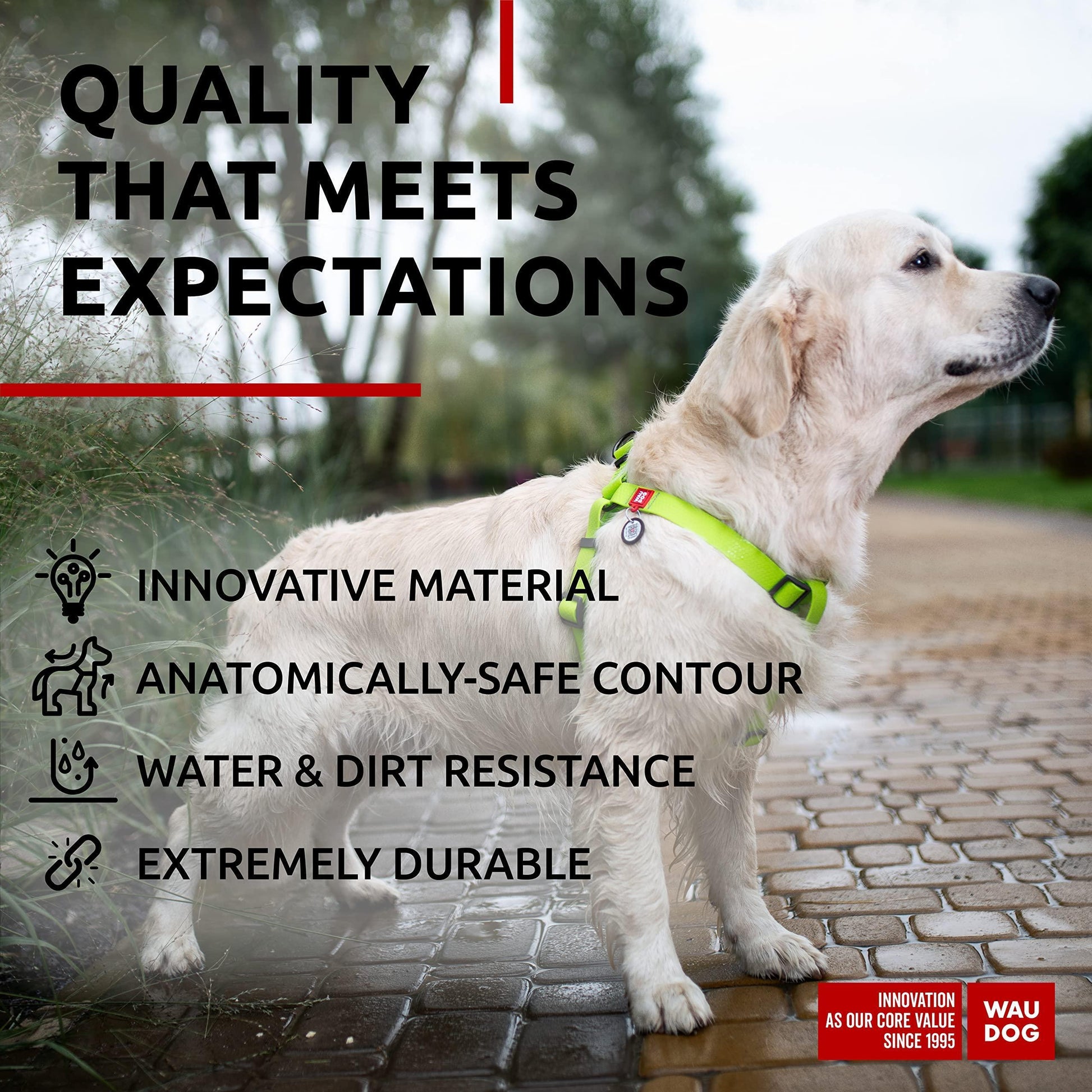 Waterproof Dog Harness   Adjustable Dog Harness for Large Dogs Small and Medium For Pet With Love