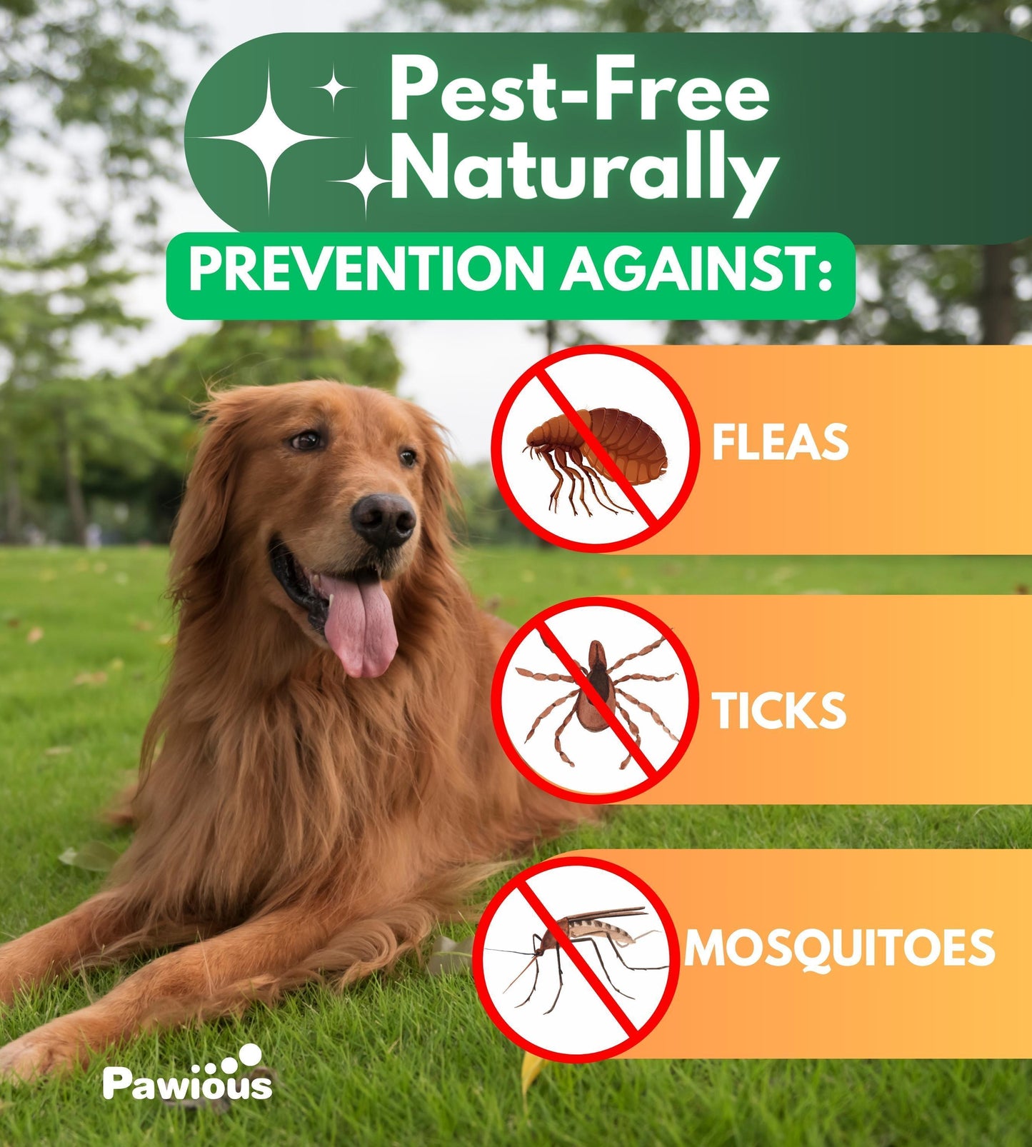 Pawious Natural Flea and Tick Prevention Treatment for Dogs Treats. 120 Chews. Made in USA For Pet With Love