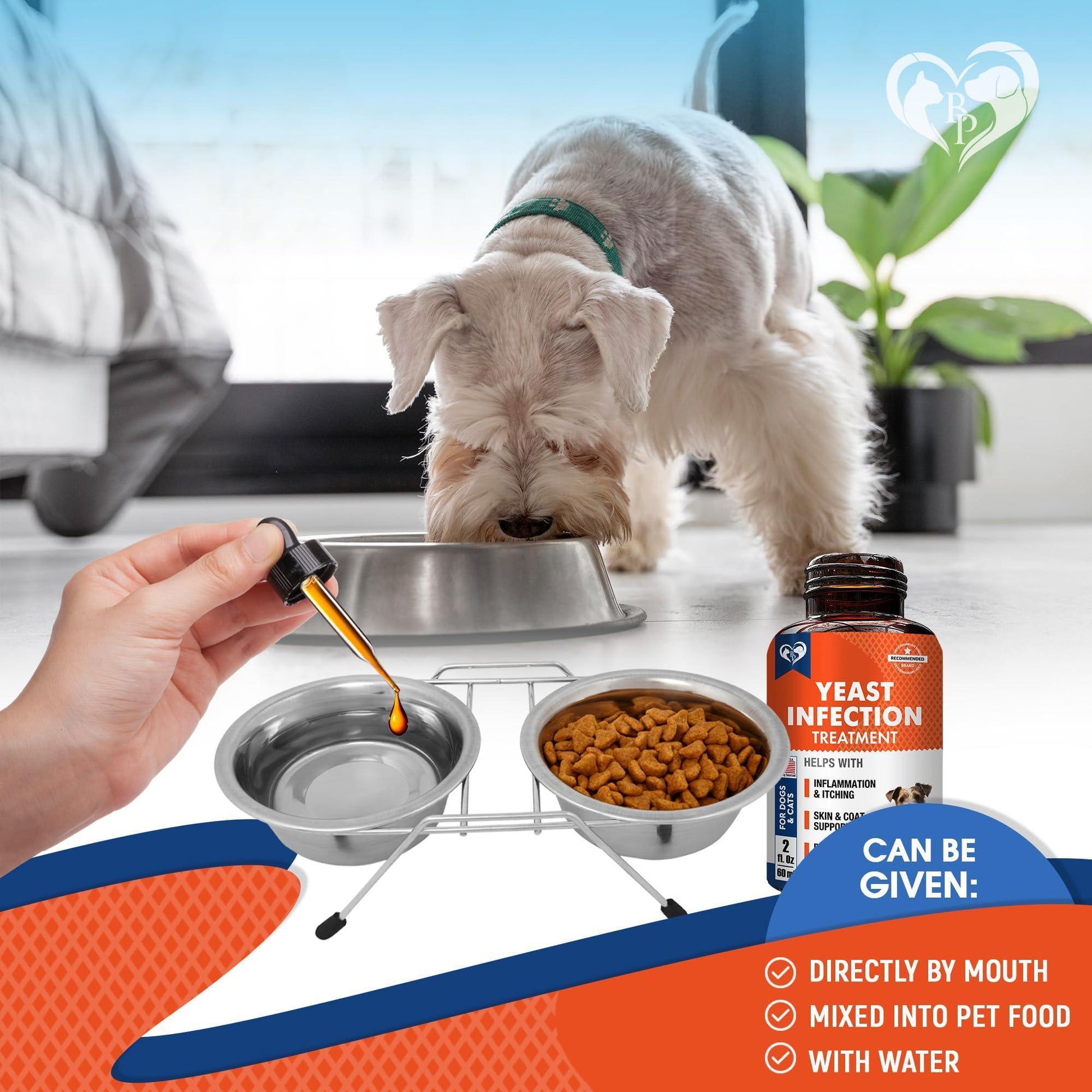 Beloved Pets Natural Dog Yeast Infection Anti Itch Herbal Supplement. Itchy Ears Skin & Allergy Symptoms Relief. Made in USA. 30mL. For Pet With Love