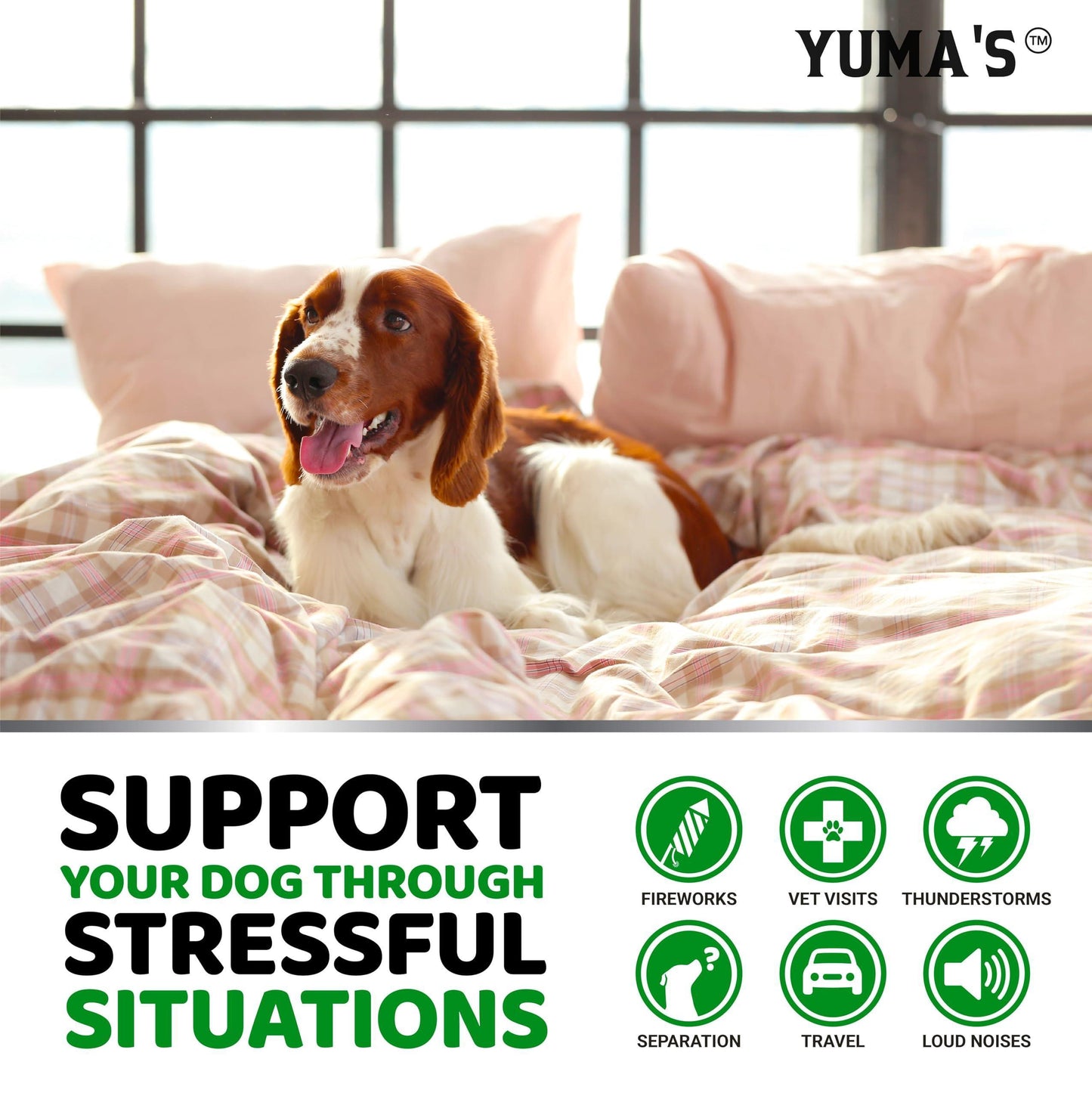 YUMA'S Advanced Hemp Dog Calming Anxiety Relief, Separation Aid, Stress, Hip and Joint Supplement for Canine Health Support Treats (170 Treats. Beef Flavor) For Pet With Love