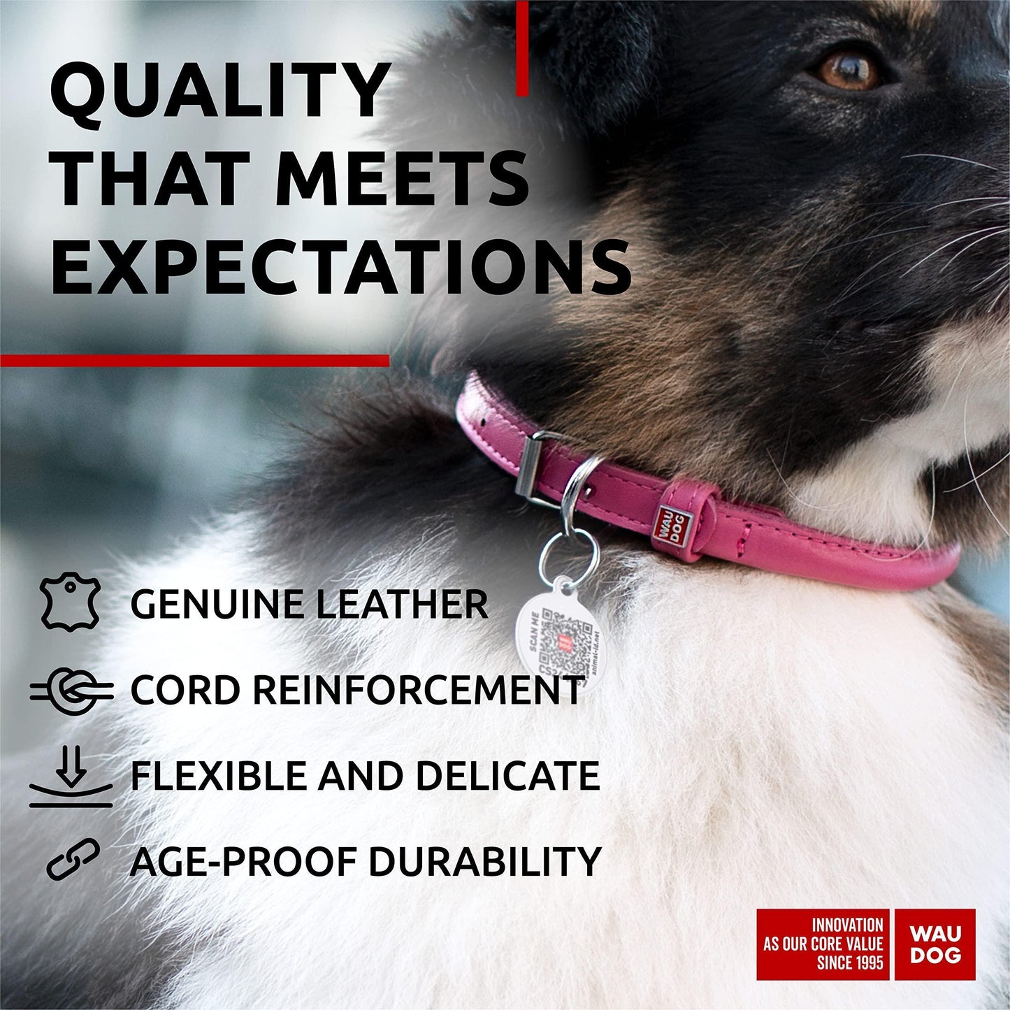 WAUDOG Ultra Soft Rolled Leather Dog Collar for Small Dogs   Soft Padded Dog For Pet With Love