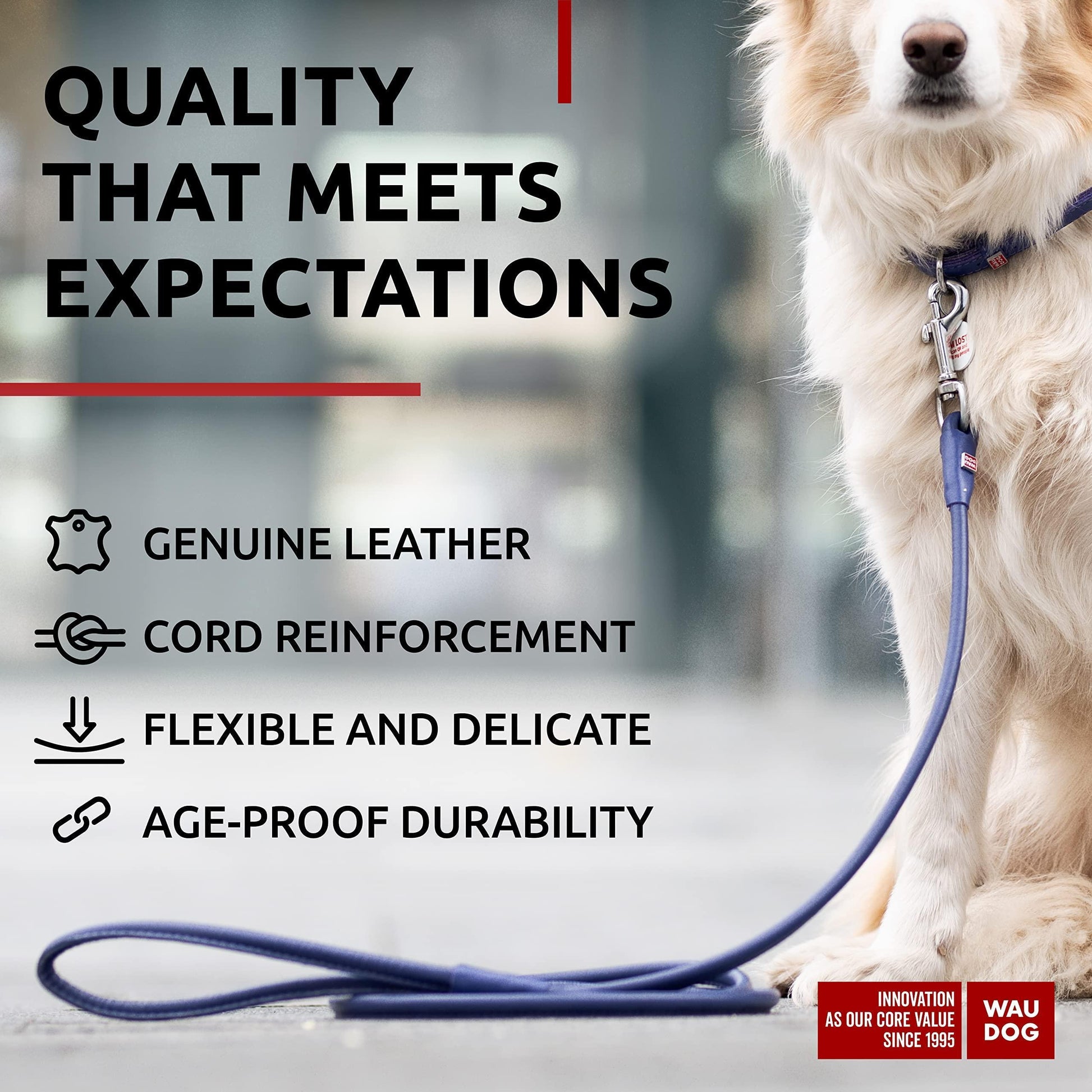 WAUDOG Rolled Leather GLAMOUR Dog Leash 4Ft * 0.4in for Small Medium and Large Dogs (Purple) For Pet With Love