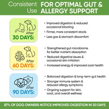 Load image into Gallery viewer, Probiotics Treats for Dogs - Digestive Enzymes - Gut Flora Digestive Health Immune Support
