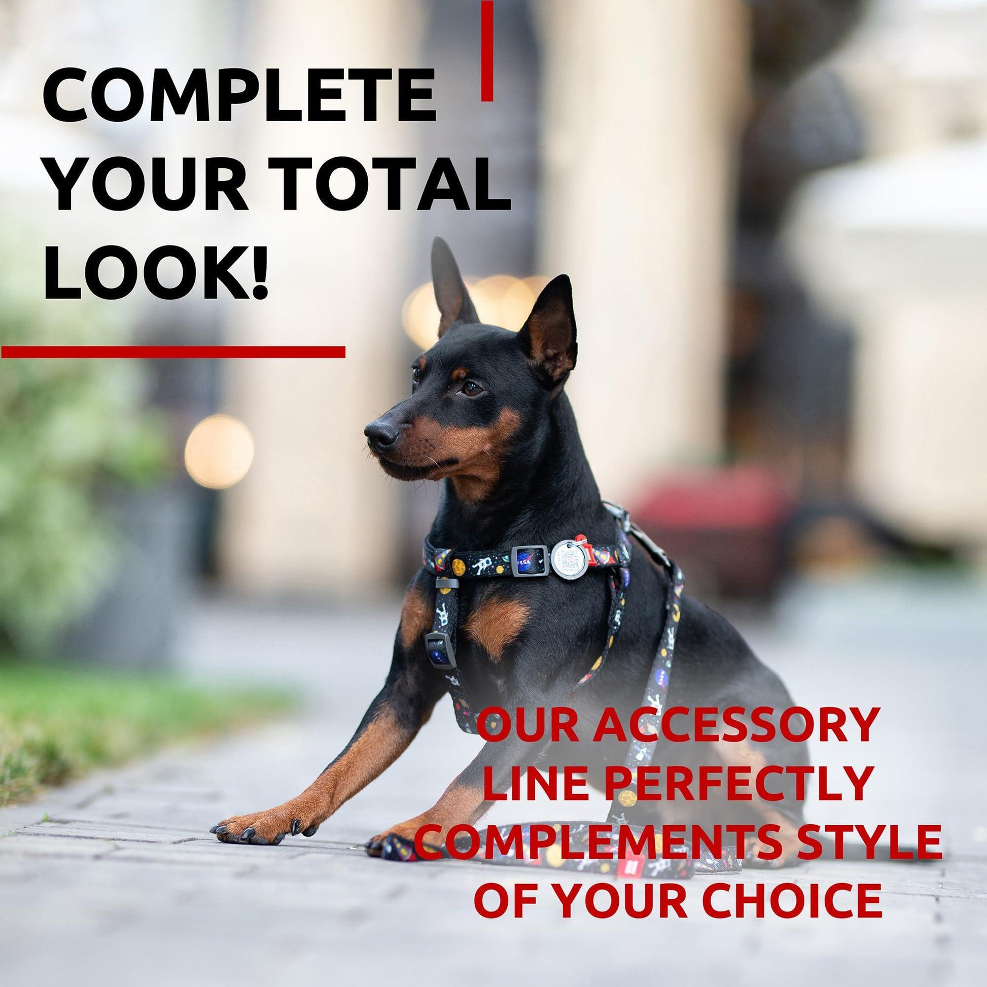 WAUDOG Nylon Dog Leash for Small Dogs and Medium Dogs 4 Ft   Strong Dog Leash For Pet With Love