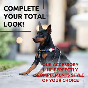 WAUDOG Nylon Dog Leash for Small Dogs and Medium Dogs 4 Ft   Strong Dog Leash