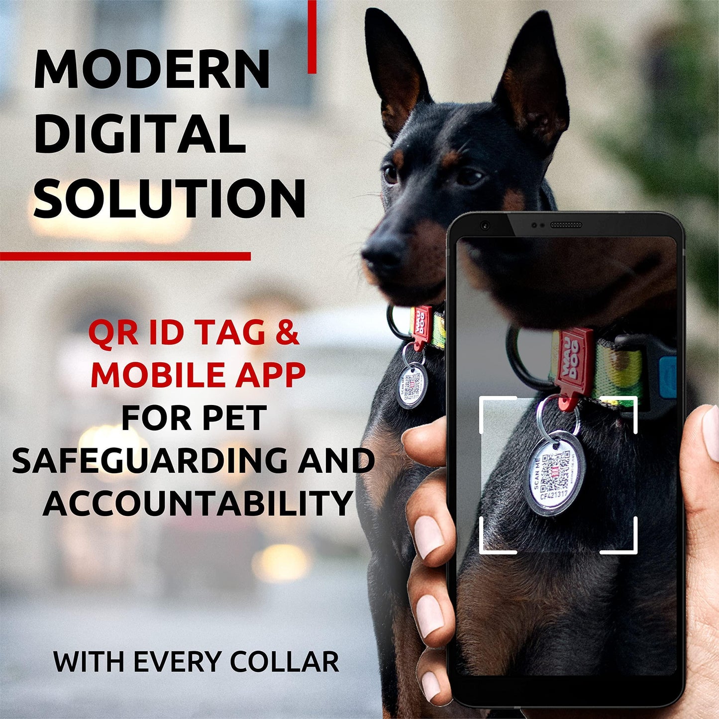 WAUDOG Adjustable Nylon Dog Collar with Durable Plastic Buckle and QR Dog Tag. SMALL (Avocado Print) For Pet With Love