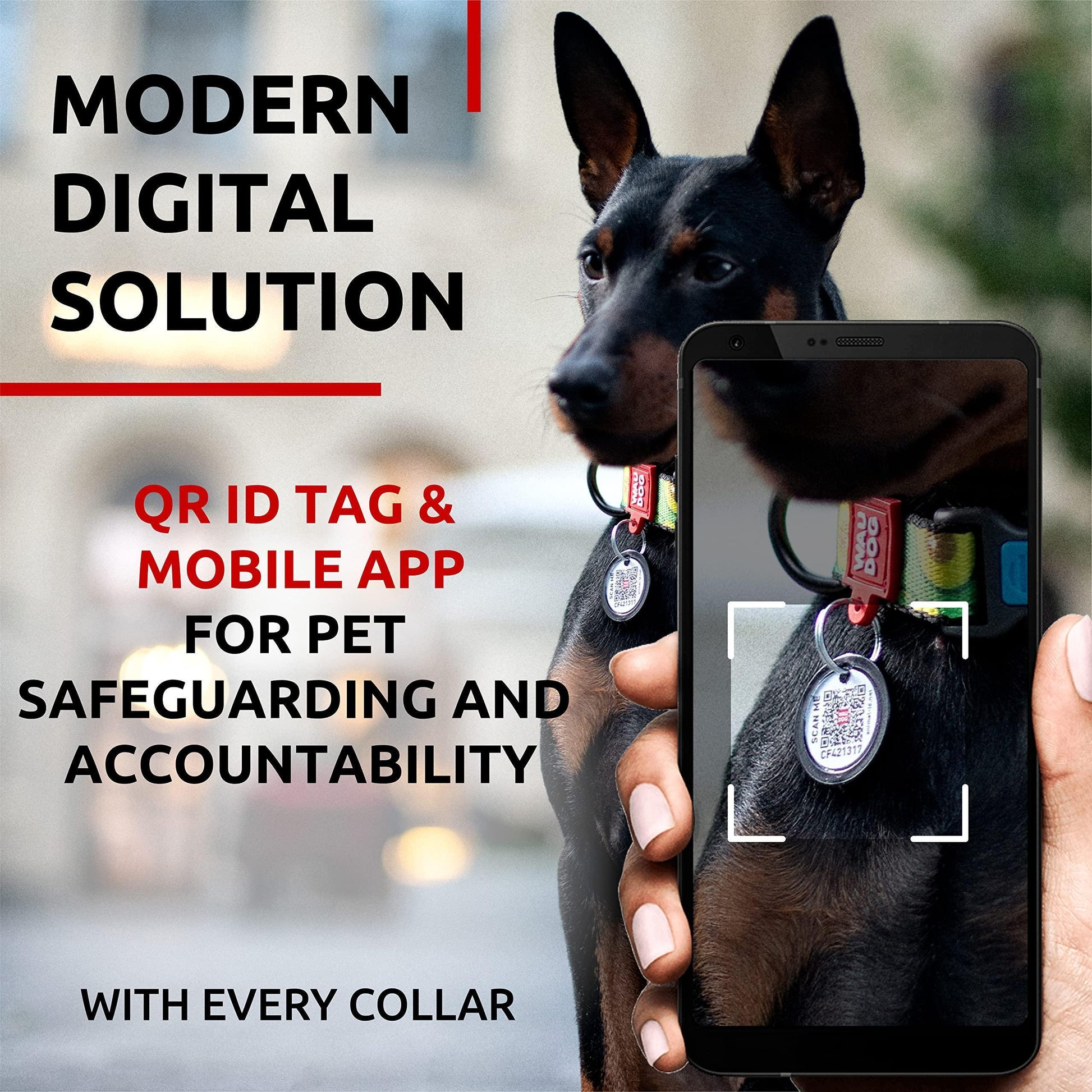 WAUDOG Adjustable Nylon Dog Collar with Durable Plastic Buckle and QR Dog Tag. SMALL (Avocado Print) For Pet With Love