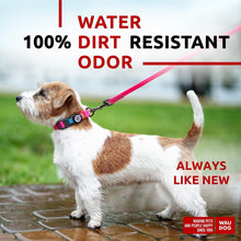 Load image into Gallery viewer, WAUDOG Adjustable Waterproof Dog Collar with Plastic Buckle and QR Dog Tag PINK SMALL
