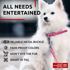Ultra Soft Rolled Leather Dog Collar for Small Dogs   Soft Padded Dog Collars