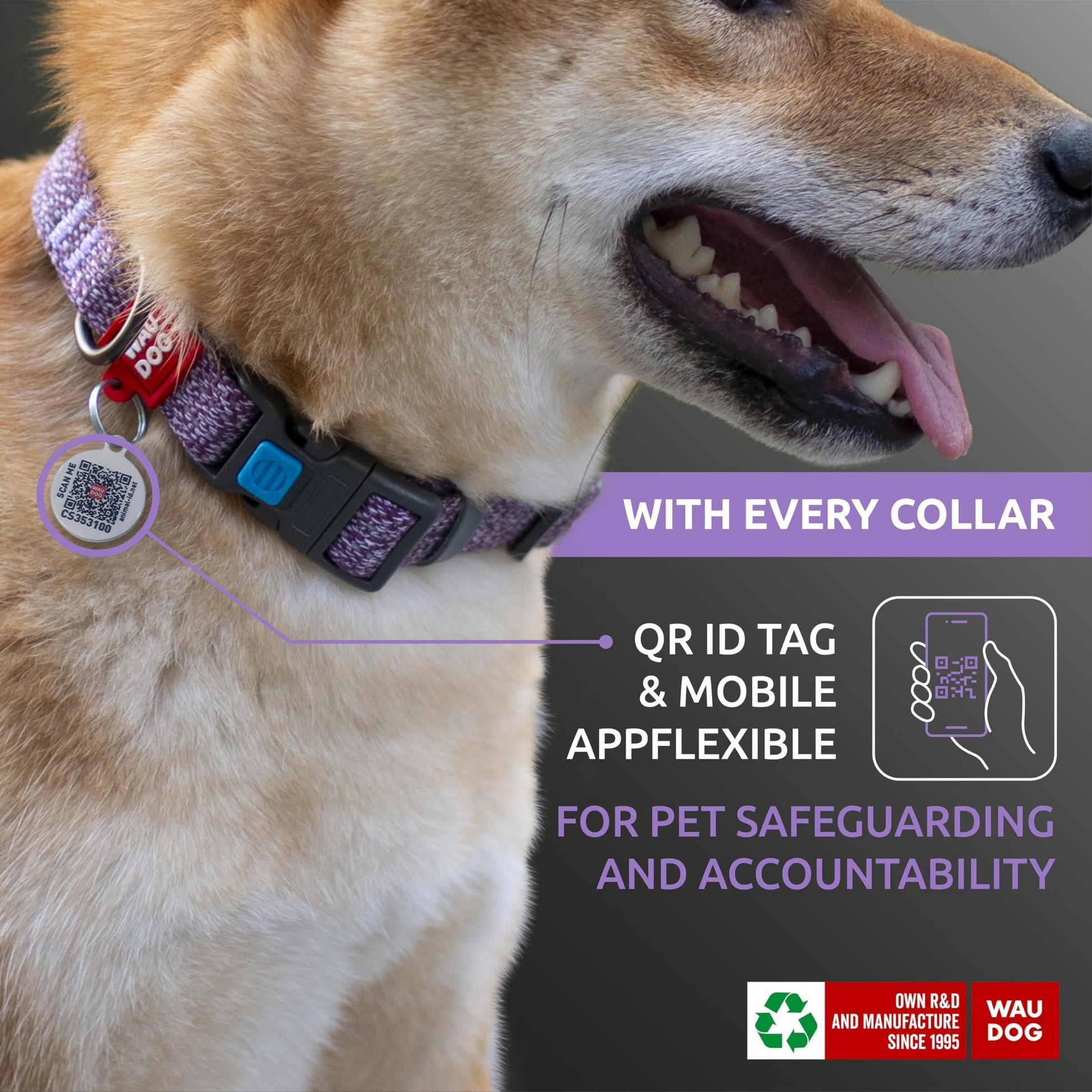 WAUDOG Reflective Eco Friendly Cotton Dog Collar with Smart ID Tag PURPLE MEDIUM For Pet With Love