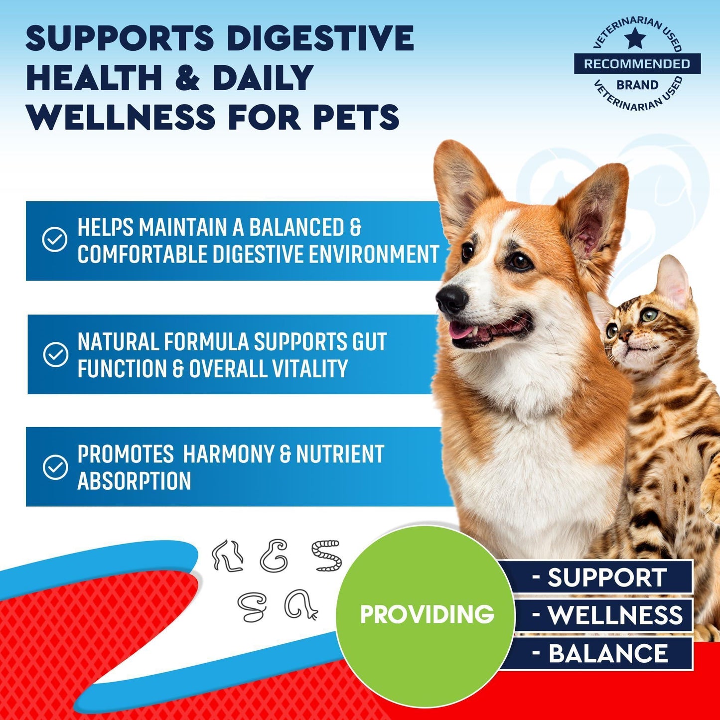 Beloved Pets Natural Intestinal Defense for Dogs & Cats – Herbal Cleanse with Wormwood Black Walnut – Promotes Healthy Gut & Flora Balance – Advanced Broad Spectrum Formula. 2 Pack (60 ml) For Pet With Love