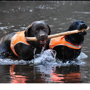 Lite Dog Vest. Coverage to Mid Back. Reflective Hi Visibility Blaze Orange