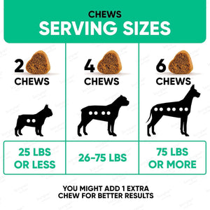 Kinpur Pet Care Natural Dog Allergy Chews  Allergy Relief  180 Anti Itch Immune Treats