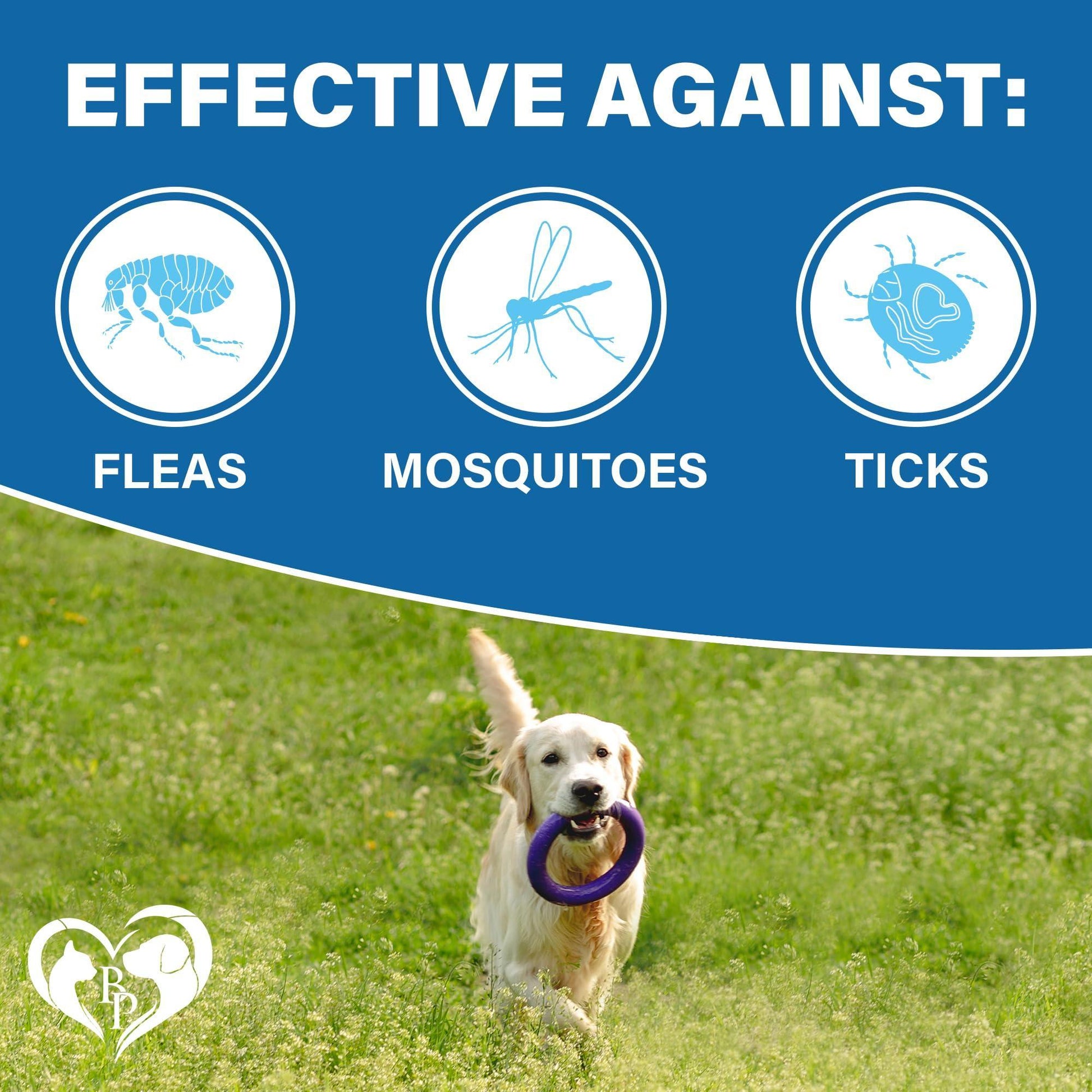 Beloved Pets Revolution Flea and Tick Prevention Oral Treatment Chewable Pills for Dogs.  Pest Control & Natural Defense.  Approximaate;lly 140 Chewable Small Tablets. Made in USA (Beef Flavor) For Pet With Love