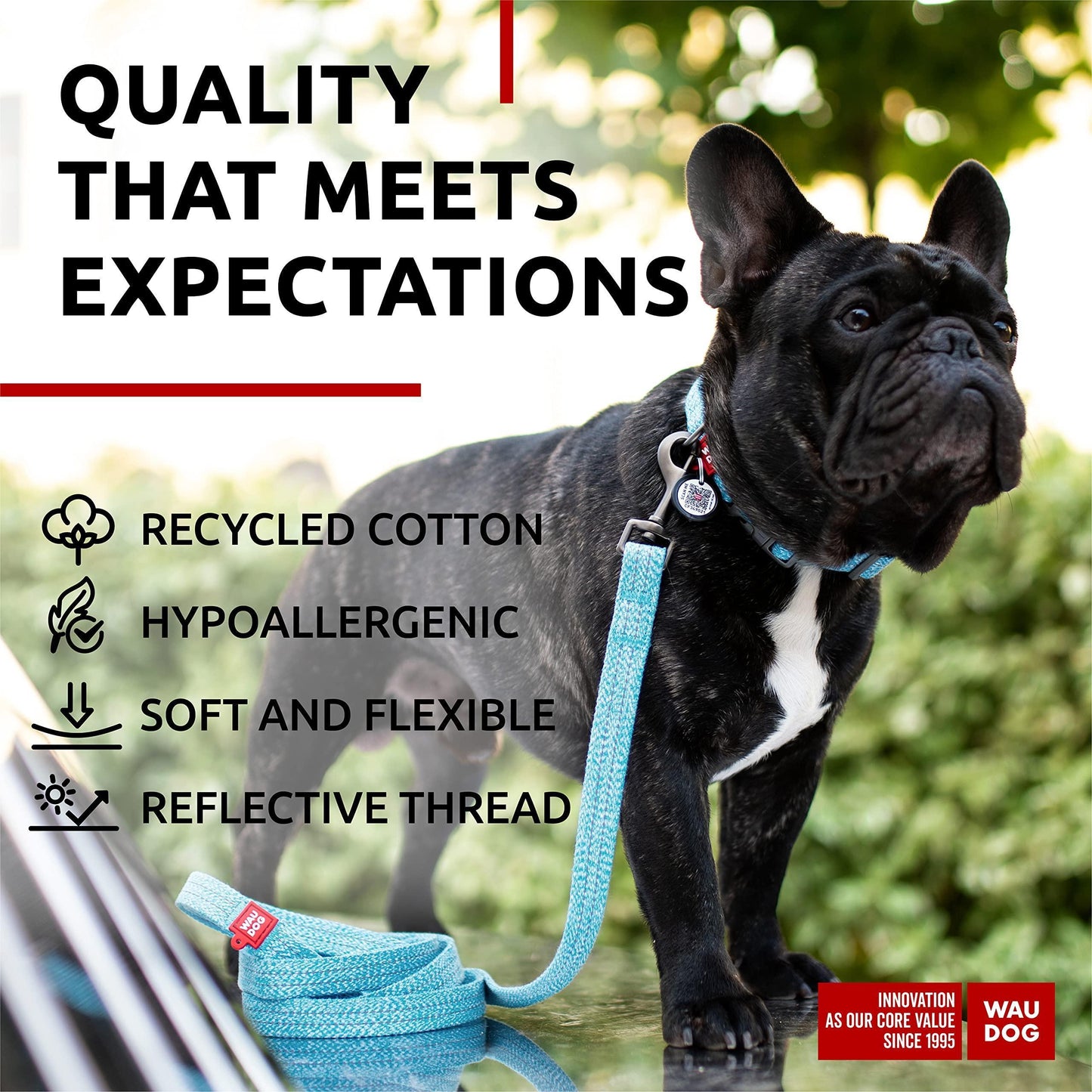 Recycled Cotton Dog Leash 6 Ft   10 Ft Eco Friendly Collar for Small Medium & For Pet With Love