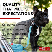 Load image into Gallery viewer, Recycled Cotton Dog Leash 6 Ft   10 Ft Eco Friendly Collar for Small Medium &amp;
