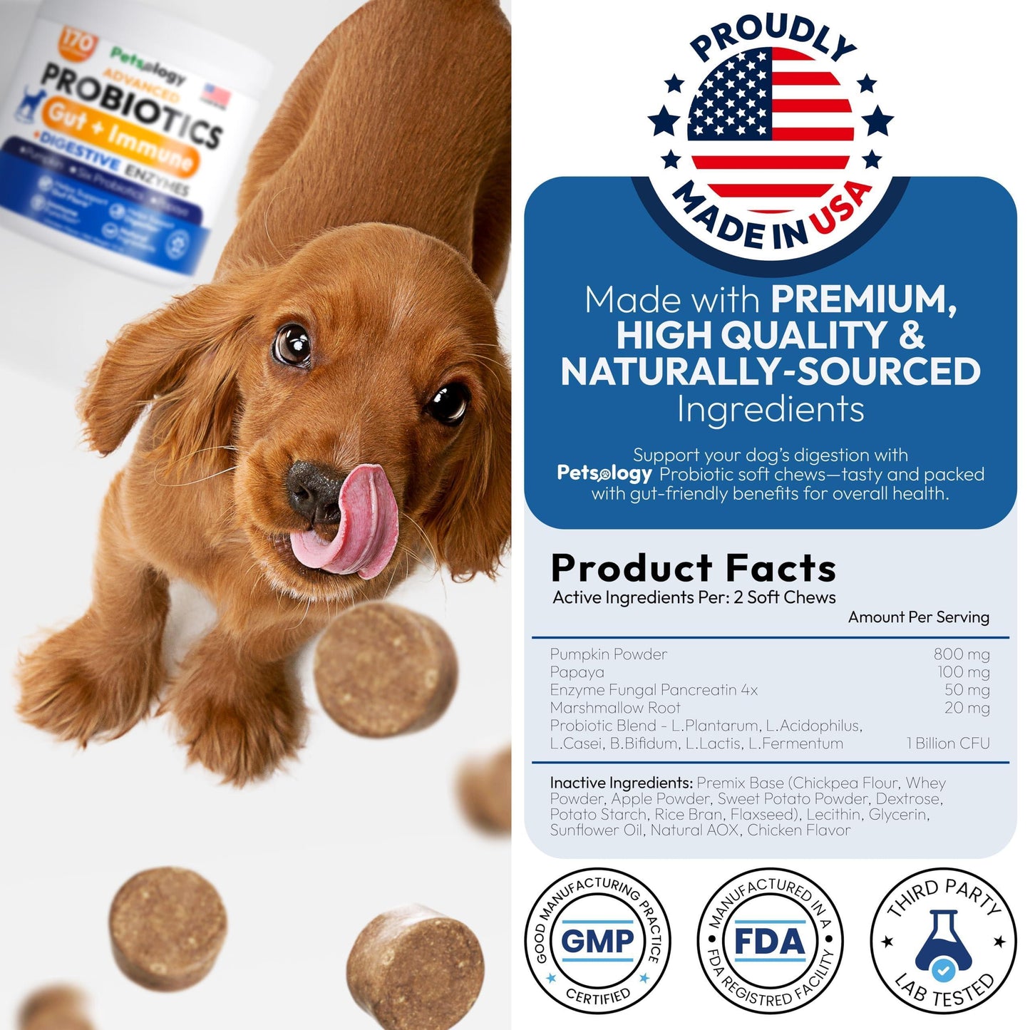 PETSOLOGY Digestive Enzymes & Prebiotics Supplement for Dogs 170 Chews For Pet With Love