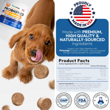 Load image into Gallery viewer, PETSOLOGY Digestive Enzymes &amp; Prebiotics Supplement for Dogs 170 Chews For Pet With Love
