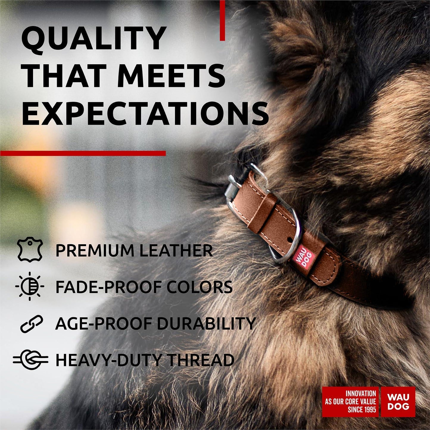 WAUDOG Long Lasting Leather Dog Collar for Large Dogs Medium & Small Dogs For Pet With Love